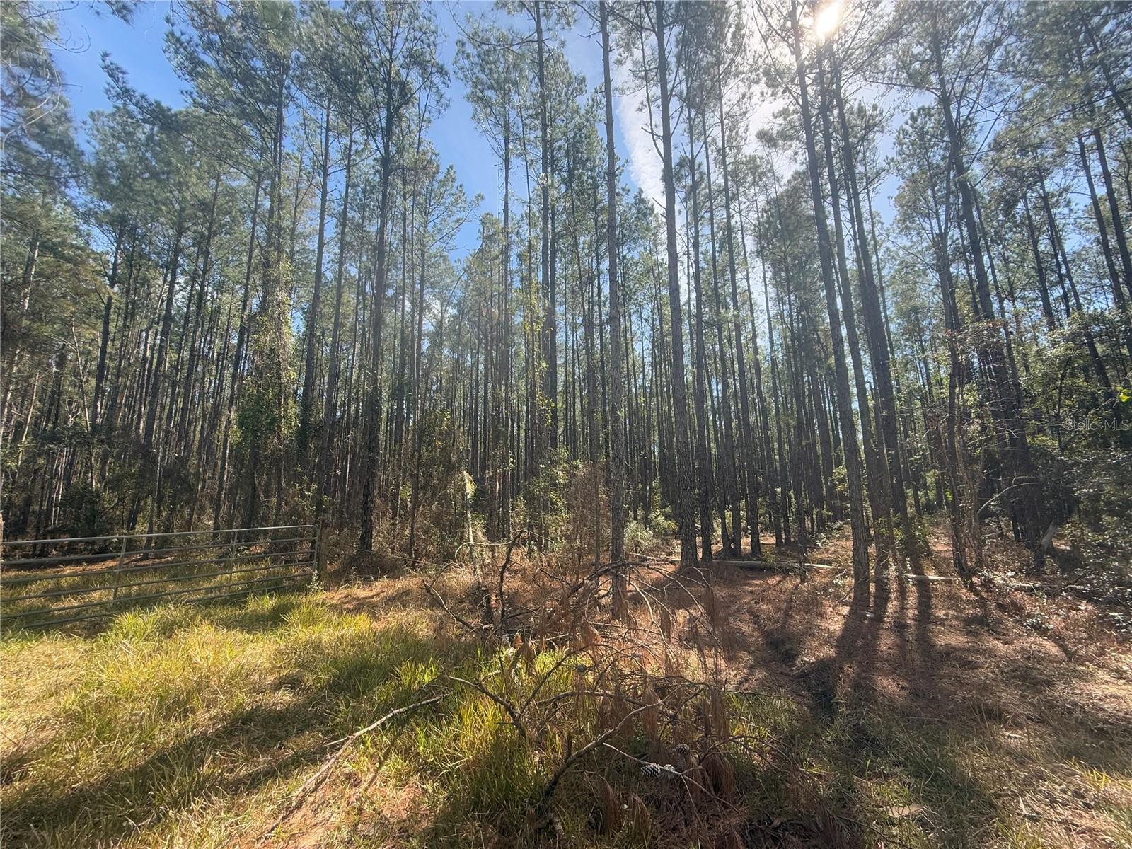 TBD NE 22ND LN, HAWTHORNE, FL, 32640