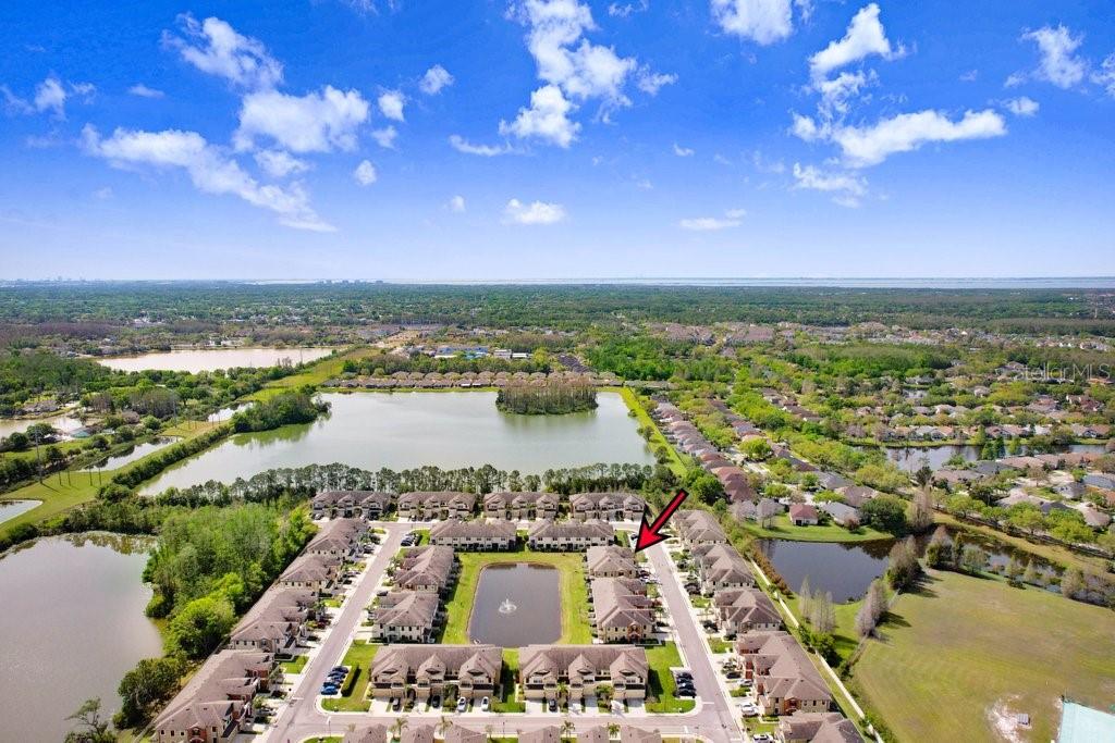 11521 CROWNED SPARROW LN, TAMPA, FL, 33626