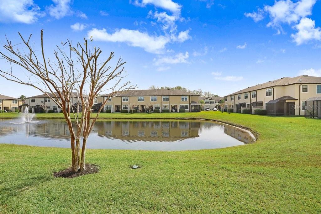 11521 CROWNED SPARROW LN, TAMPA, FL, 33626