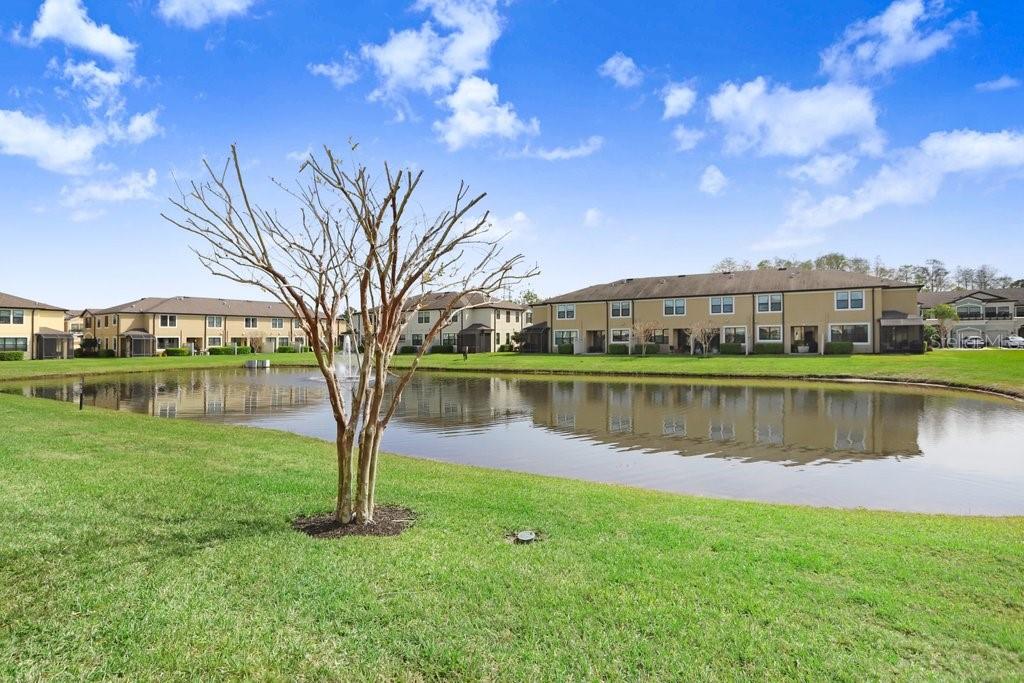 11521 CROWNED SPARROW LN, TAMPA, FL, 33626