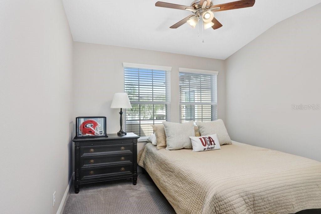 11521 CROWNED SPARROW LN, TAMPA, FL, 33626