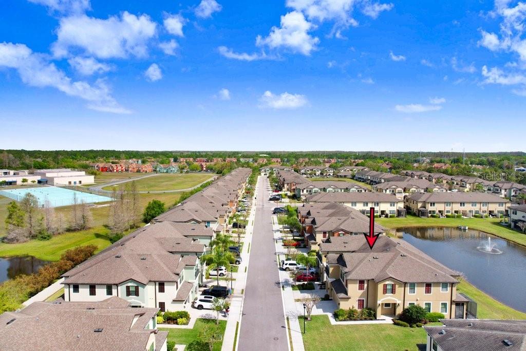 11521 CROWNED SPARROW LN, TAMPA, FL, 33626