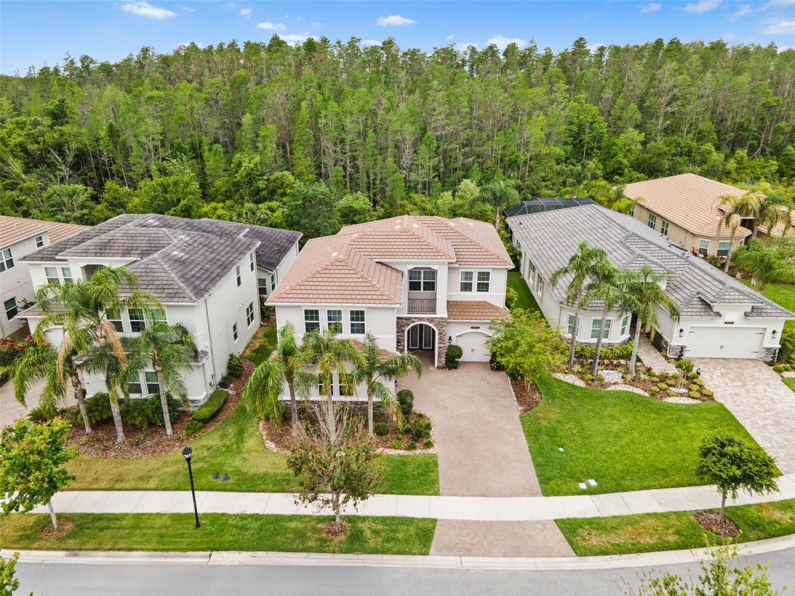 30900 SPRUCEBERRY CT, WESLEY CHAPEL, FL, 33543