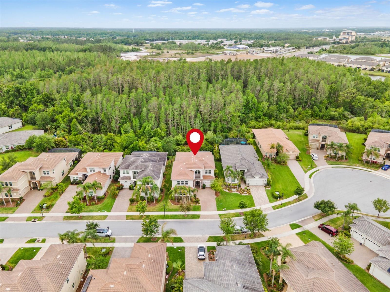 30900 SPRUCEBERRY CT, WESLEY CHAPEL, FL, 33543