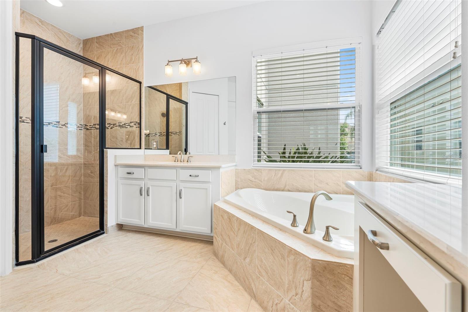 30900 SPRUCEBERRY CT, WESLEY CHAPEL, FL, 33543