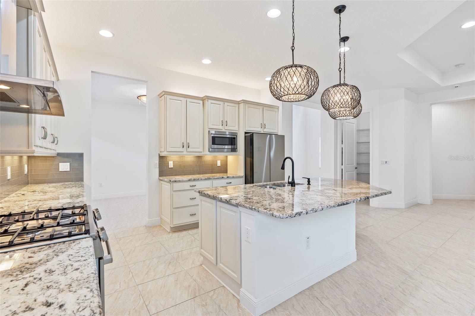 30900 SPRUCEBERRY CT, WESLEY CHAPEL, FL, 33543