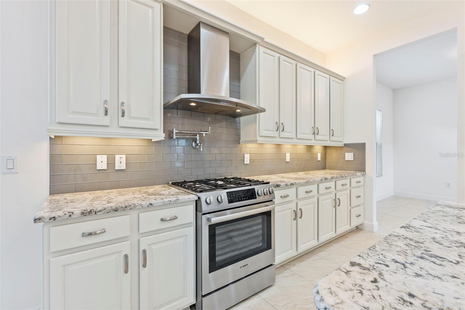 30900 SPRUCEBERRY CT, WESLEY CHAPEL, FL, 33543