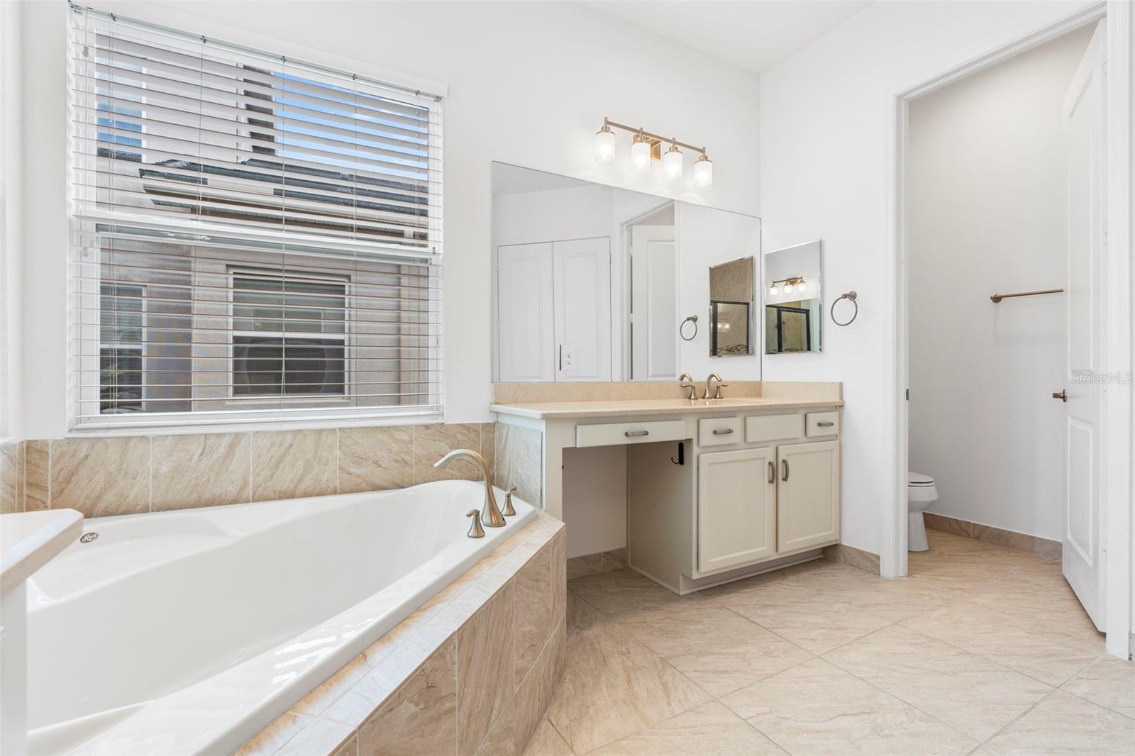 30900 SPRUCEBERRY CT, WESLEY CHAPEL, FL, 33543