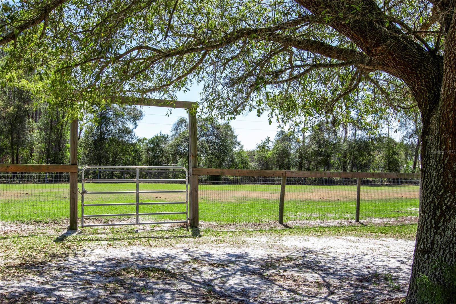 523 SW MARYNIK DR, HIGH SPRINGS, FL, 32643