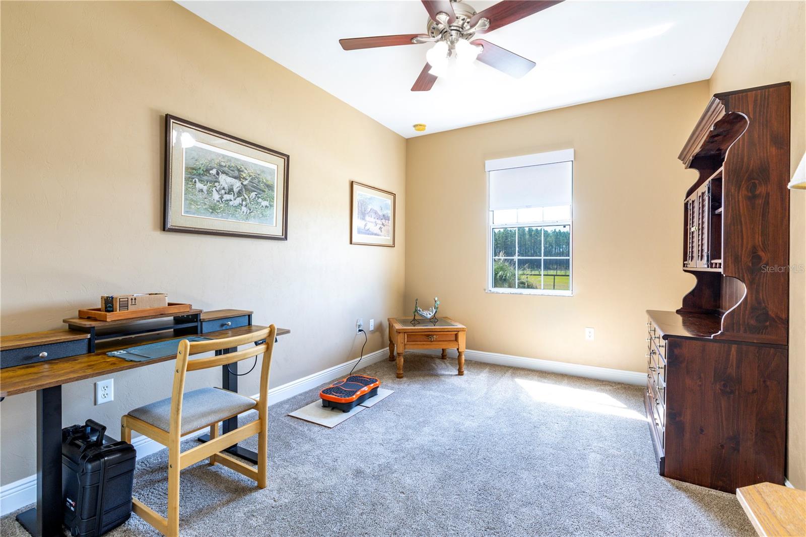 523 SW MARYNIK DR, HIGH SPRINGS, FL, 32643