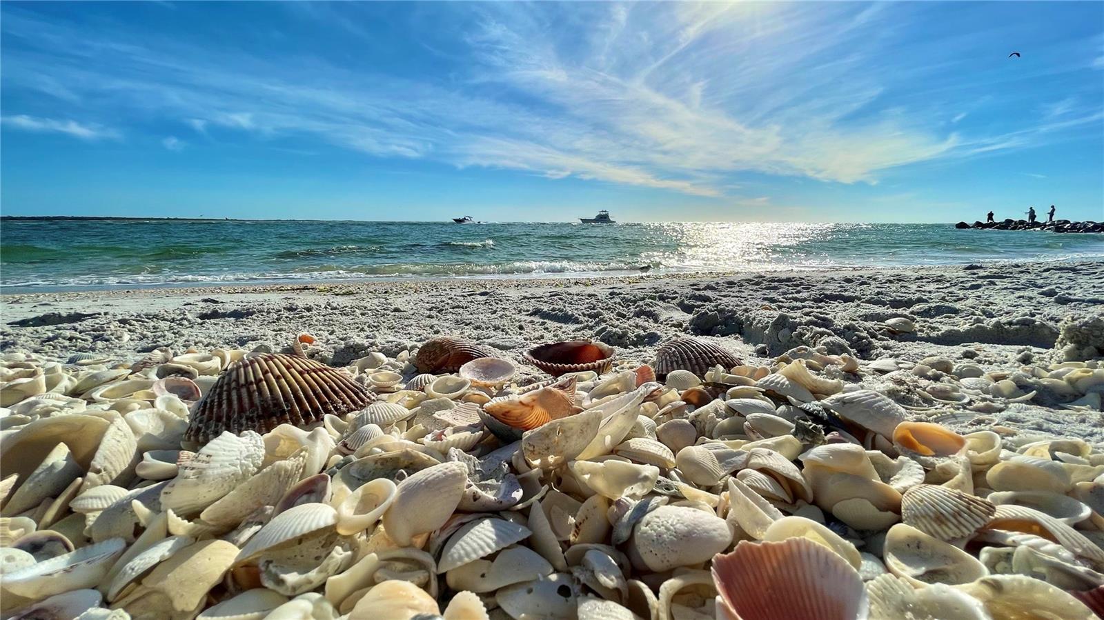 18584 ALPHONSE CIR, PORT CHARLOTTE, FL, 33948