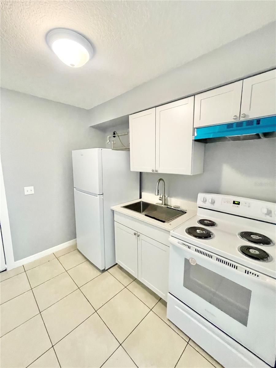 403 TERRY ST, WILDWOOD, FL, 34785
