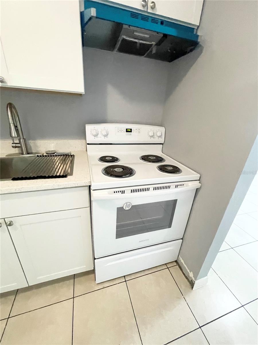 403 TERRY ST, WILDWOOD, FL, 34785