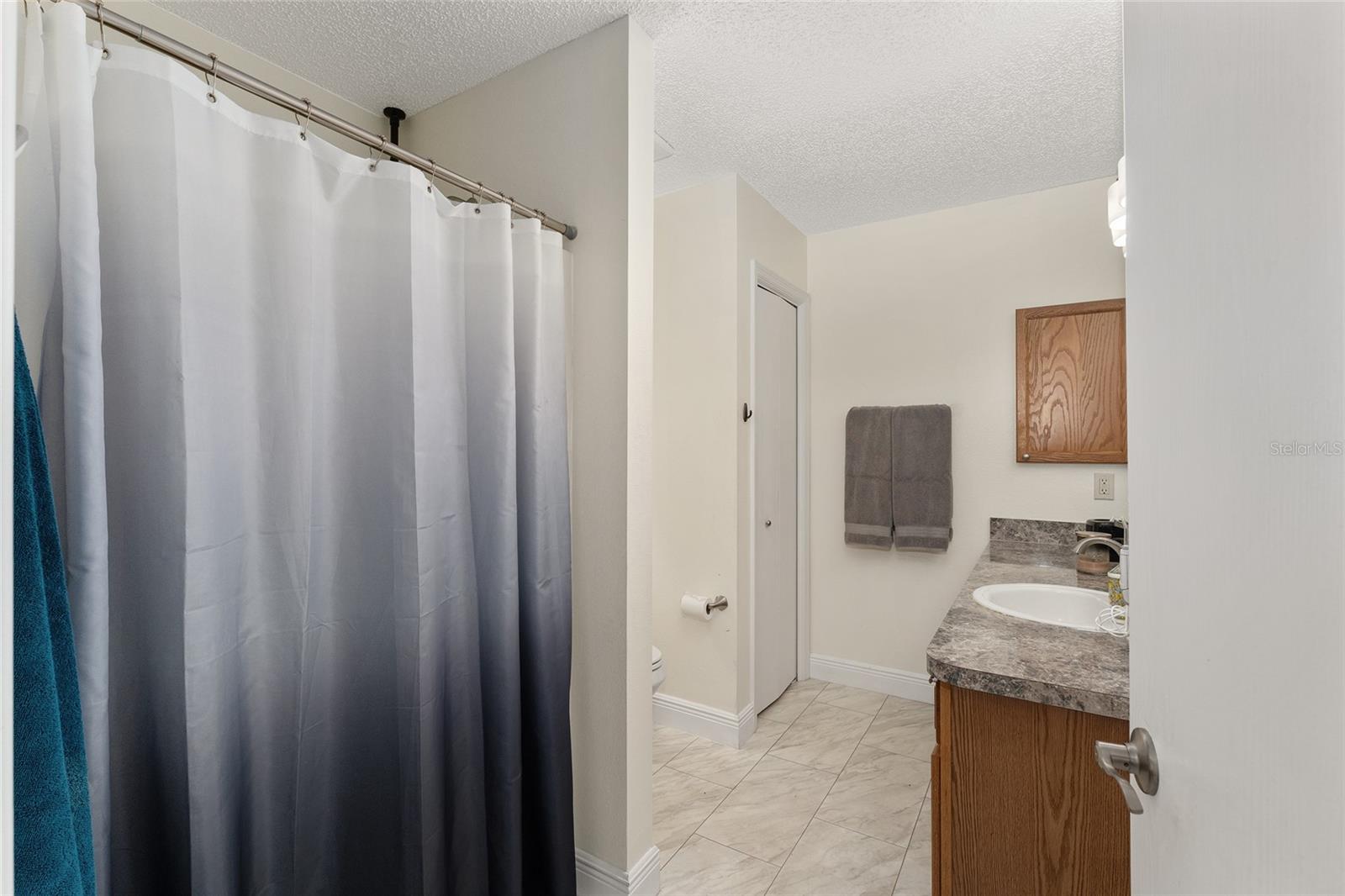 17951 SE 83RD PINELAND TER, THE VILLAGES, FL, 32162