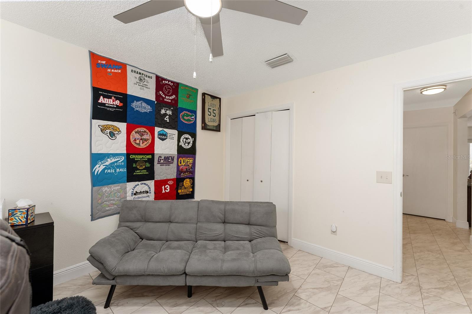 17951 SE 83RD PINELAND TER, THE VILLAGES, FL, 32162
