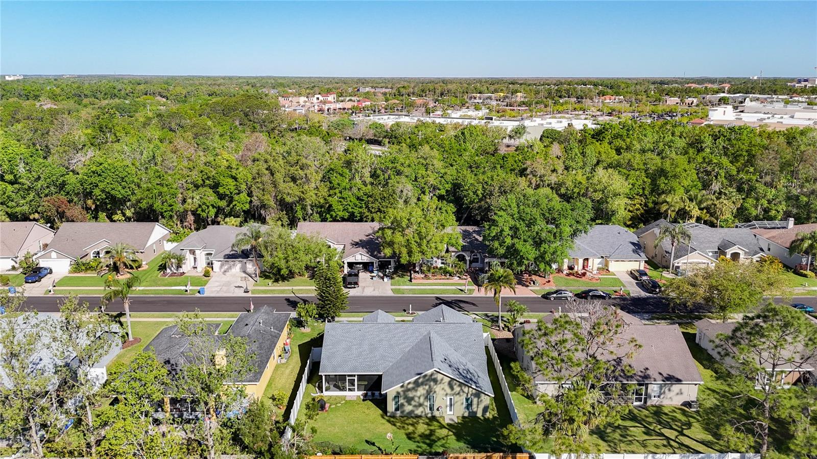28402 OPENFIELD LOOP, WESLEY CHAPEL, FL, 33543