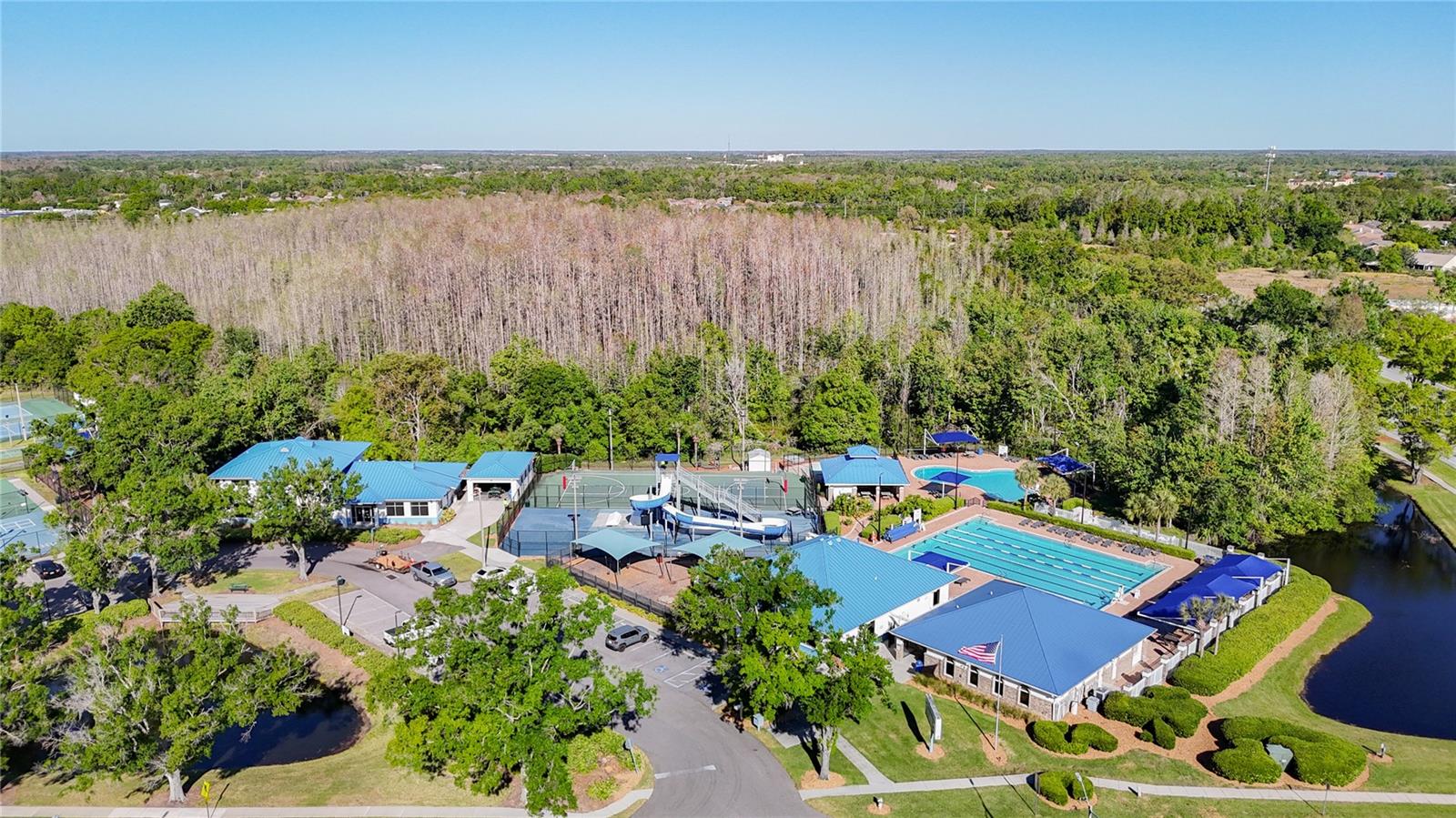 28402 OPENFIELD LOOP, WESLEY CHAPEL, FL, 33543
