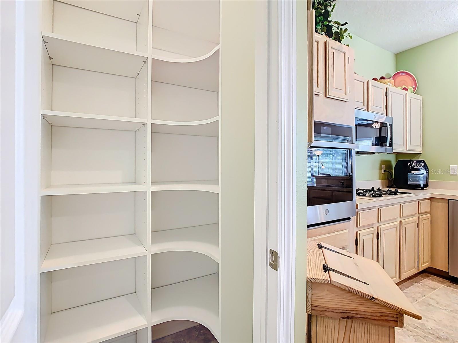 28402 OPENFIELD LOOP, WESLEY CHAPEL, FL, 33543