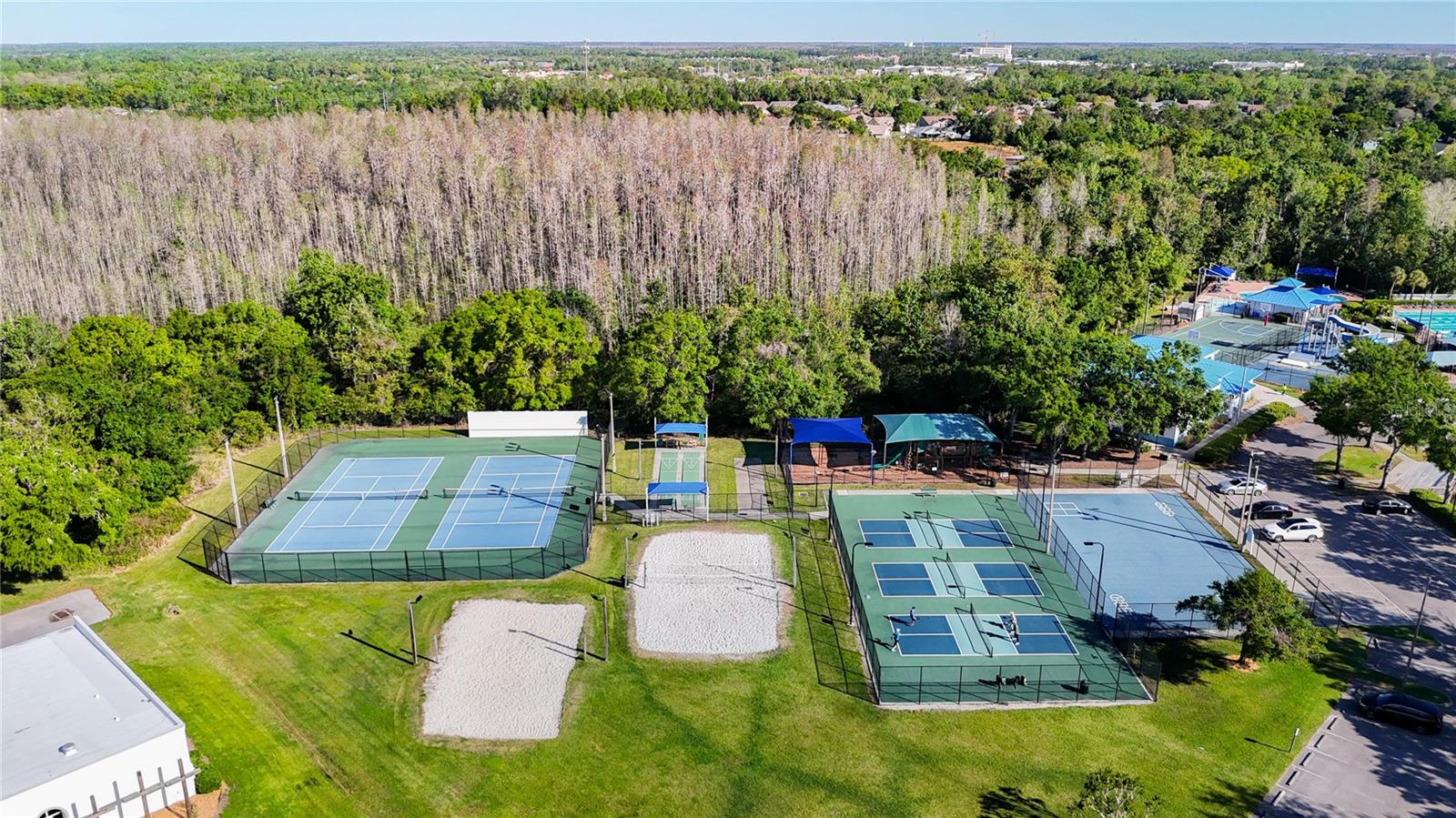 28402 OPENFIELD LOOP, WESLEY CHAPEL, FL, 33543