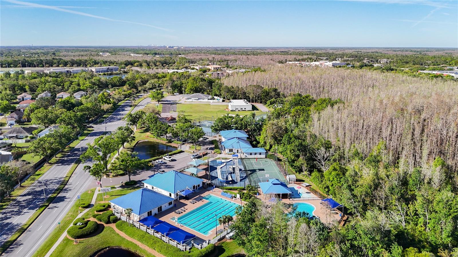 28402 OPENFIELD LOOP, WESLEY CHAPEL, FL, 33543