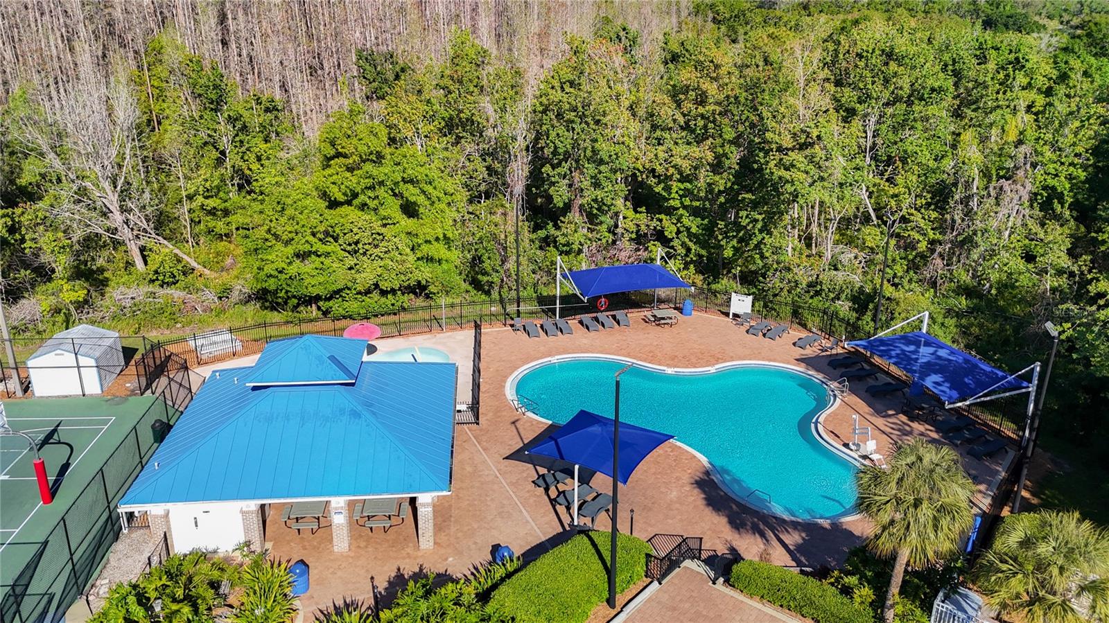 28402 OPENFIELD LOOP, WESLEY CHAPEL, FL, 33543
