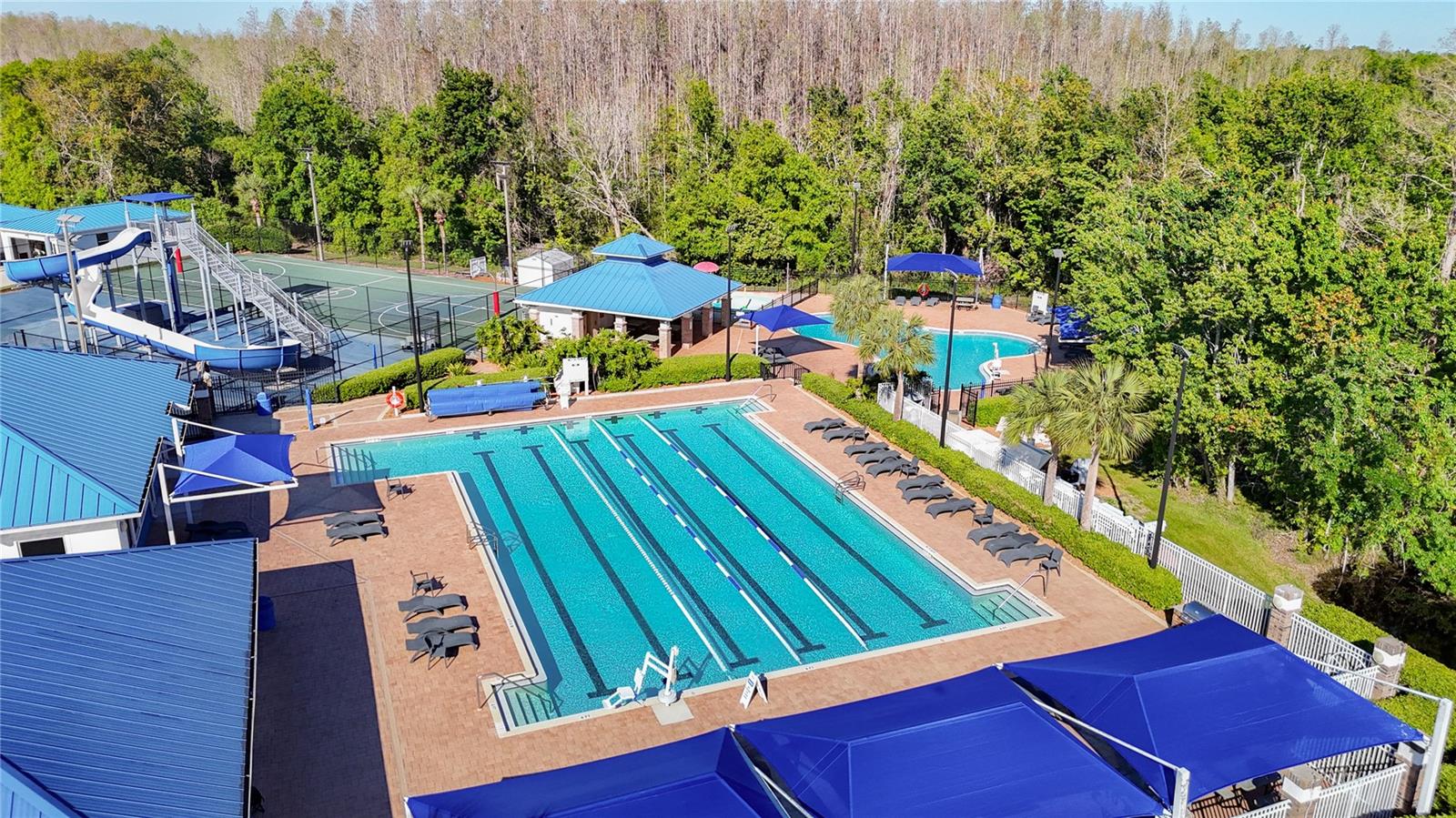 28402 OPENFIELD LOOP, WESLEY CHAPEL, FL, 33543