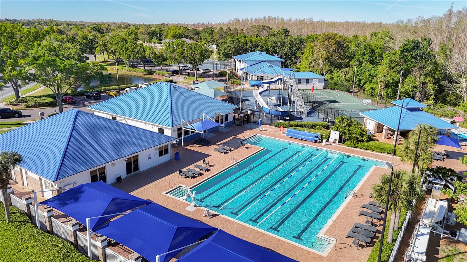 28402 OPENFIELD LOOP, WESLEY CHAPEL, FL, 33543