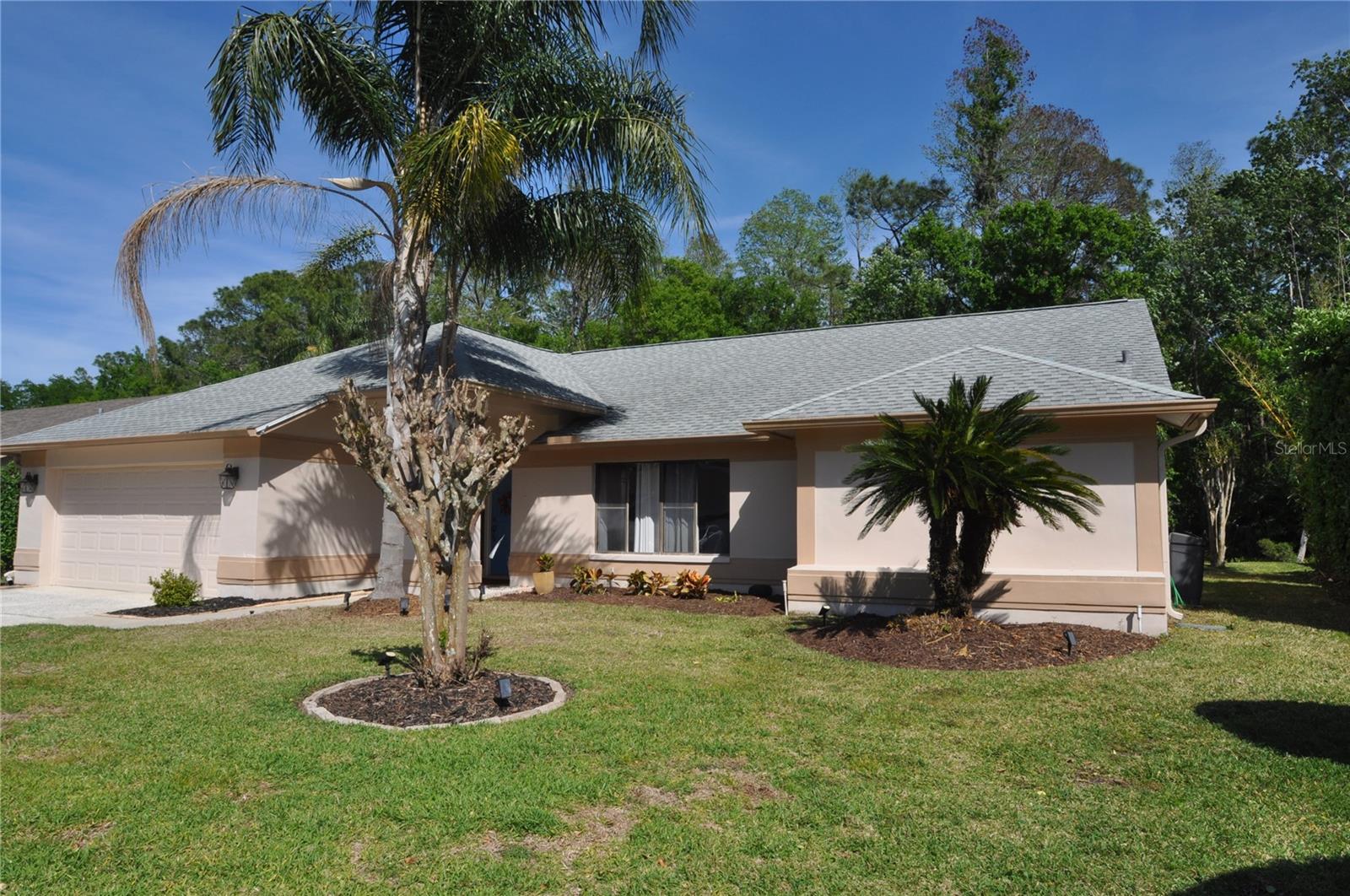 3189 ROXMERE DR, PALM HARBOR, FL, 34685