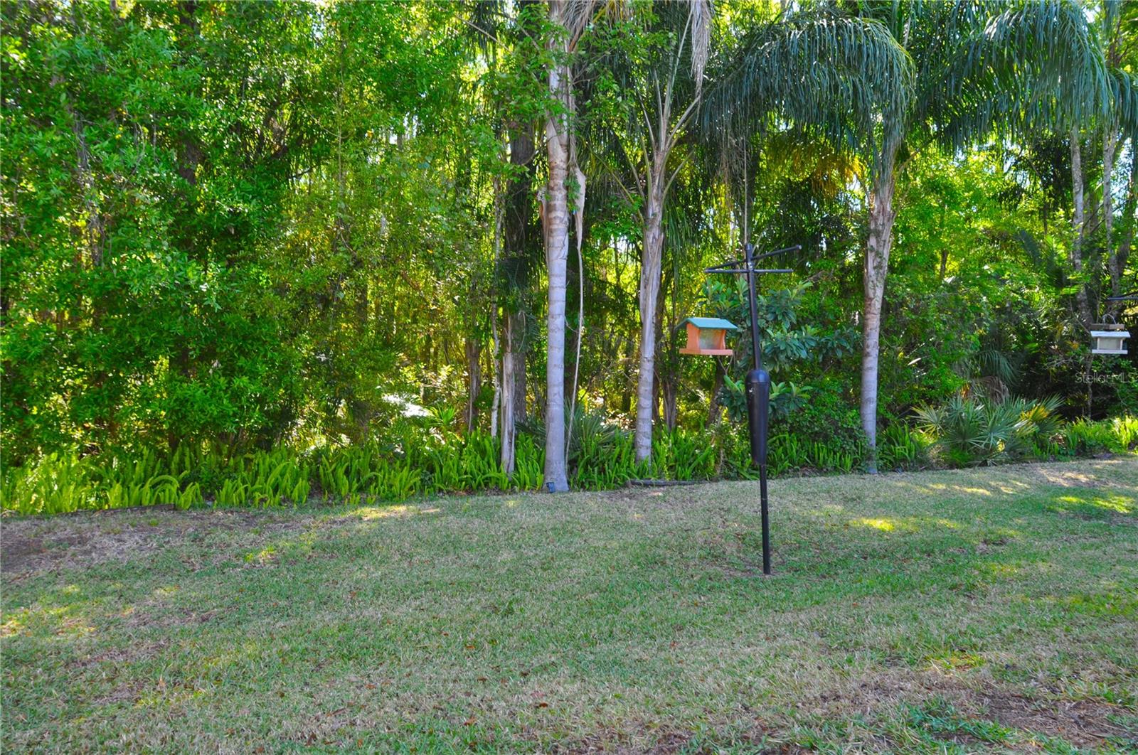 3189 ROXMERE DR, PALM HARBOR, FL, 34685