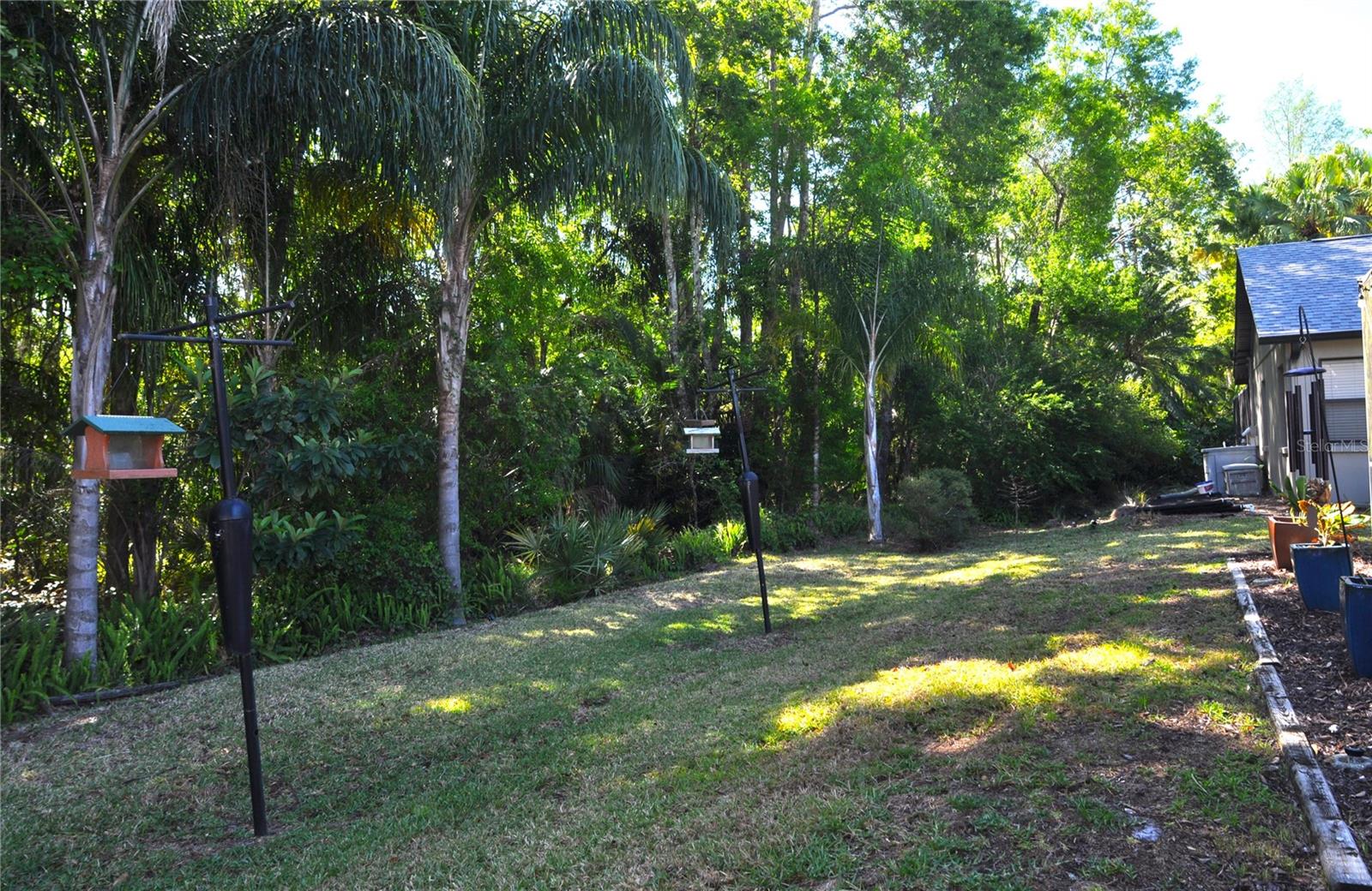 3189 ROXMERE DR, PALM HARBOR, FL, 34685