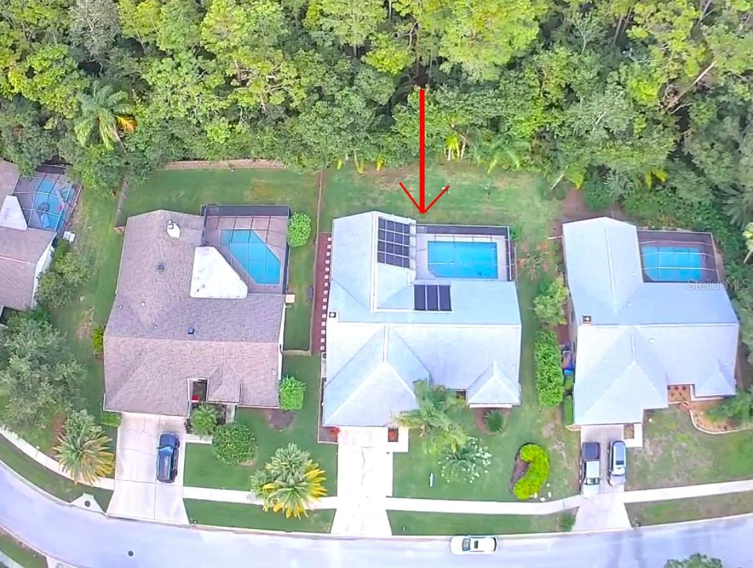 3189 ROXMERE DR, PALM HARBOR, FL, 34685