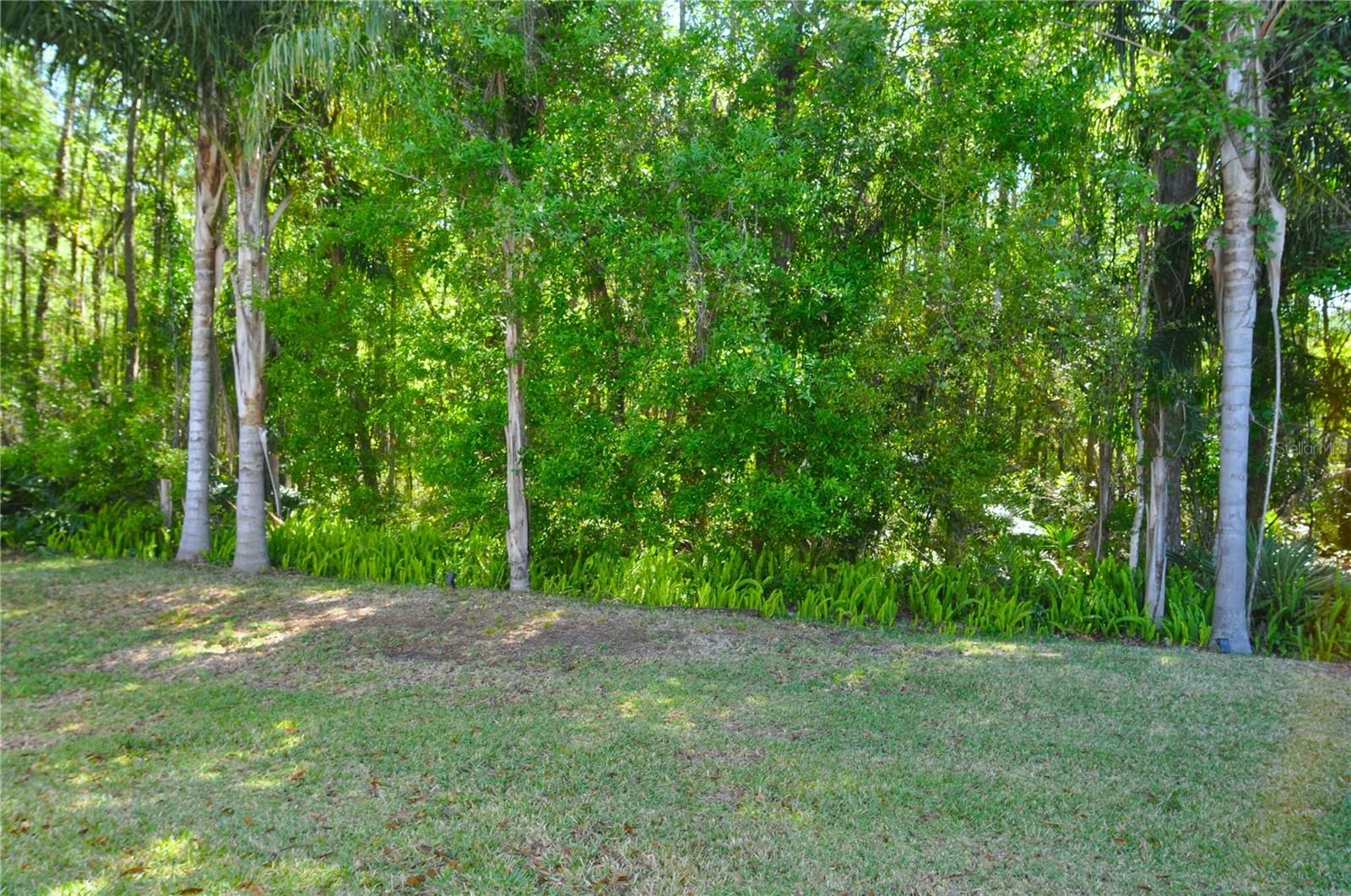 3189 ROXMERE DR, PALM HARBOR, FL, 34685
