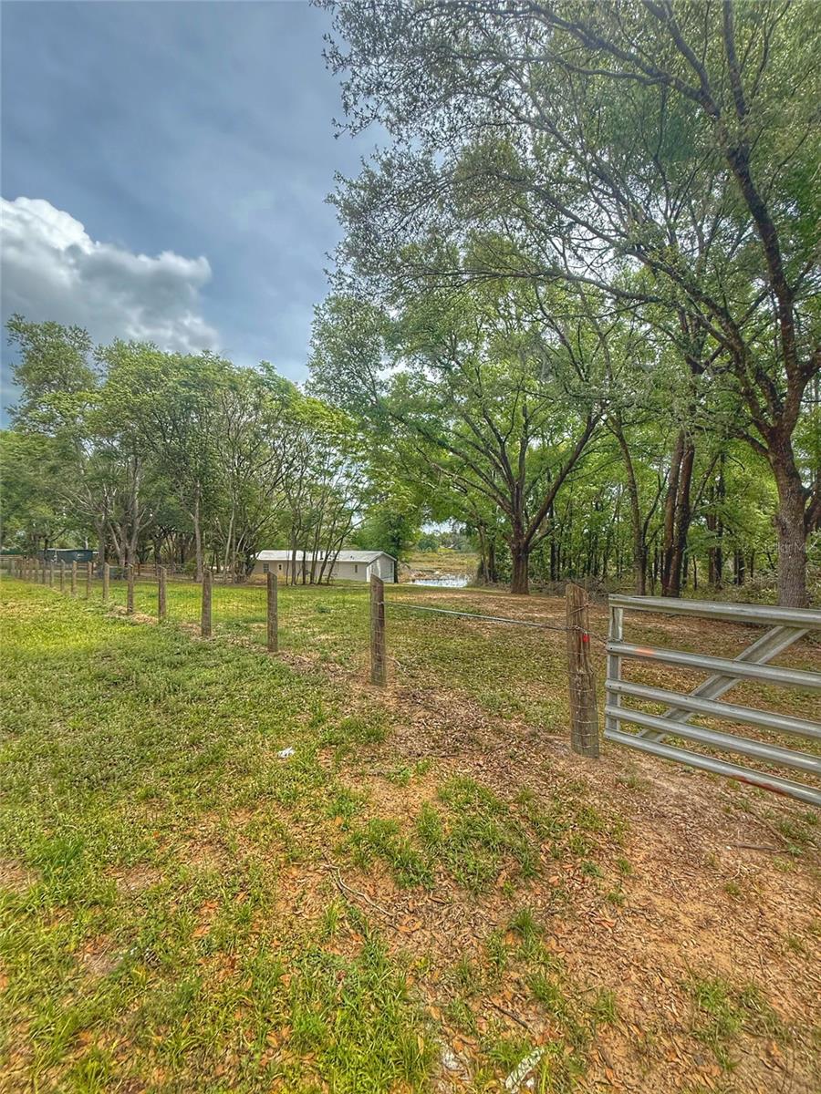 15991 SE 258TH AVE RD, UMATILLA, FL, 32784