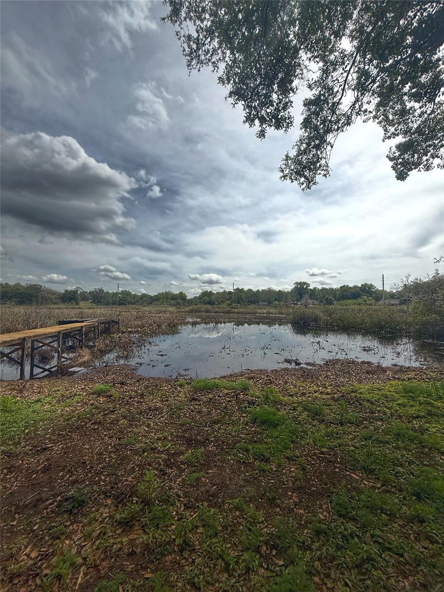 15991 SE 258TH AVE RD, UMATILLA, FL, 32784