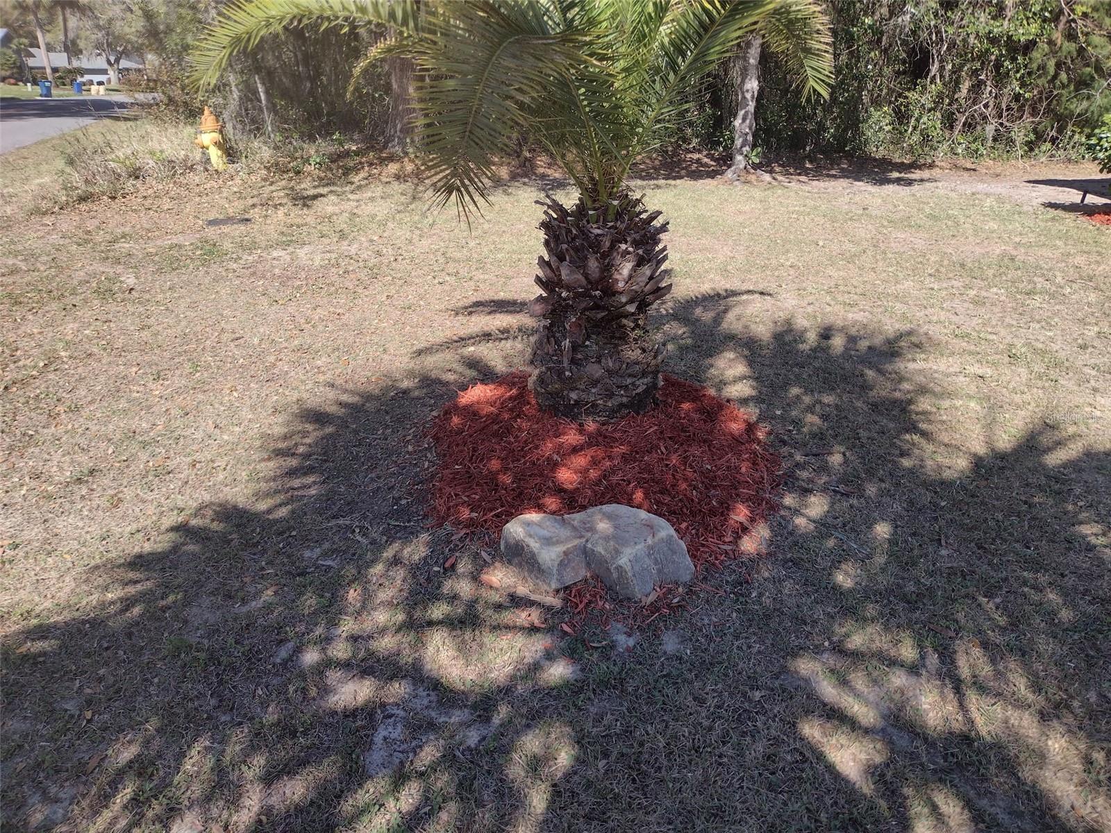 57 PINE DR, HOMOSASSA, FL, 34446