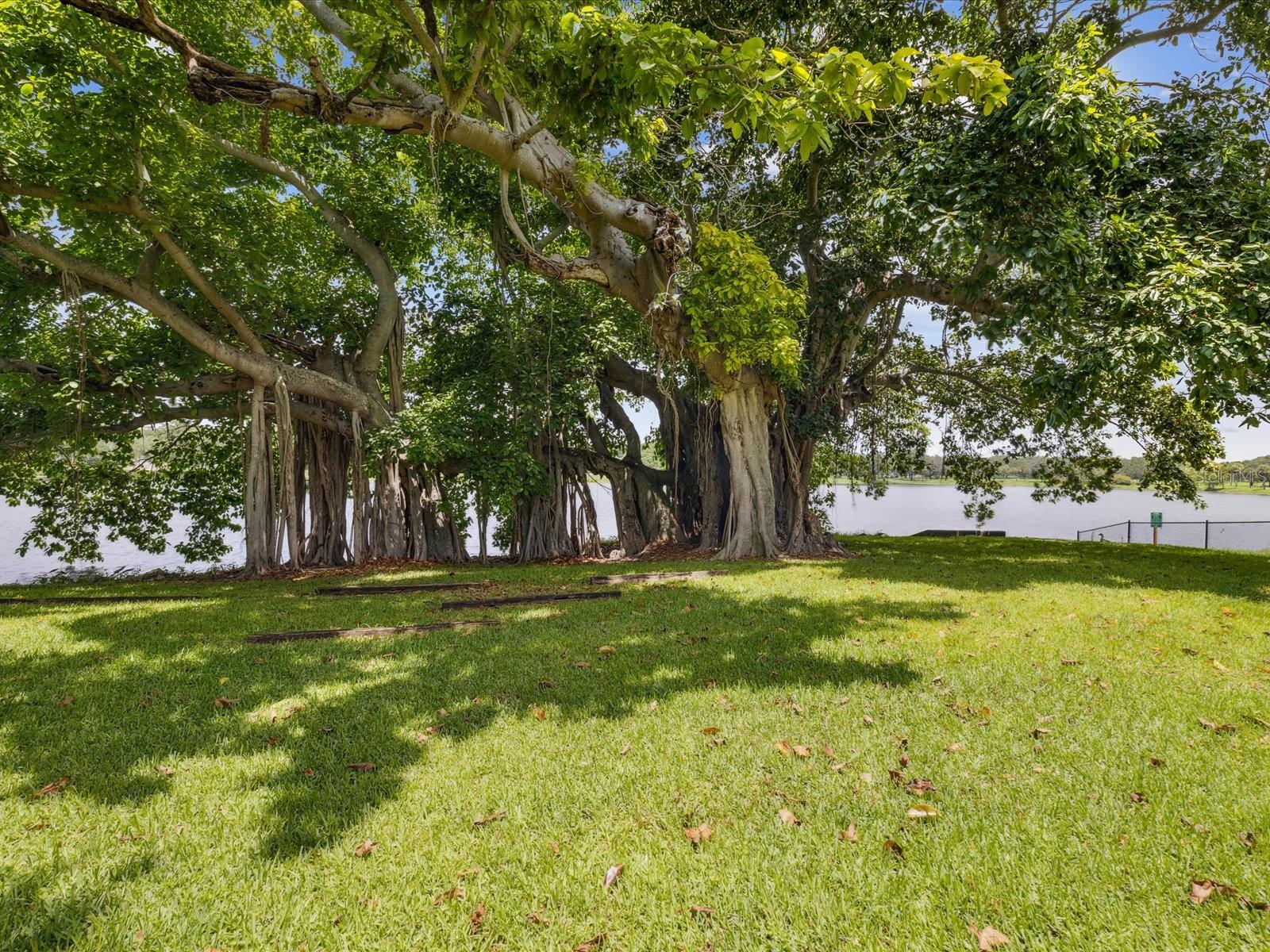 1666 N DAKOTA AVE NE, ST PETERSBURG, FL, 33703