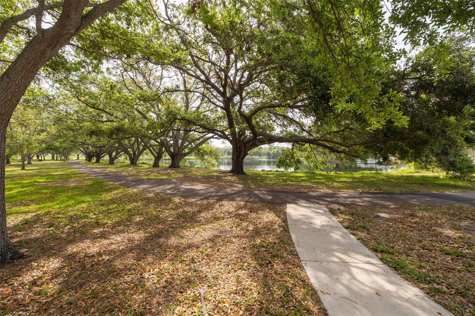 1254 8TH AVE NE, LARGO, FL, 33770