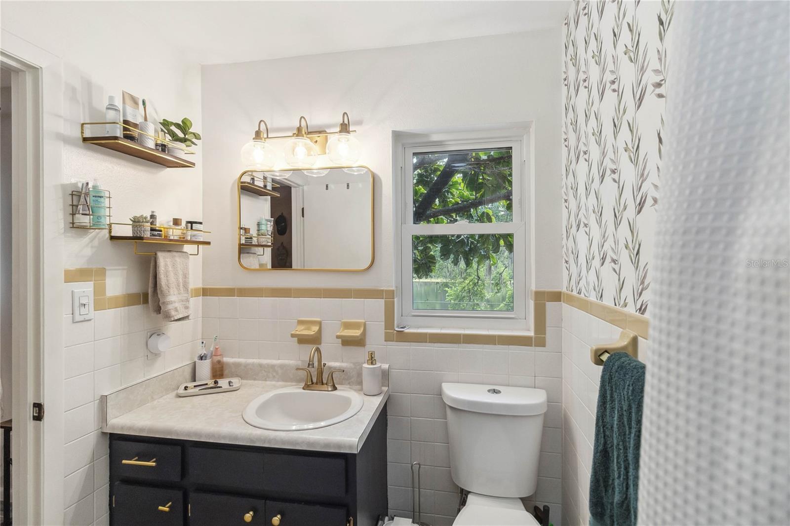 1850 HILLTOP DR, MOUNT DORA, FL, 32757