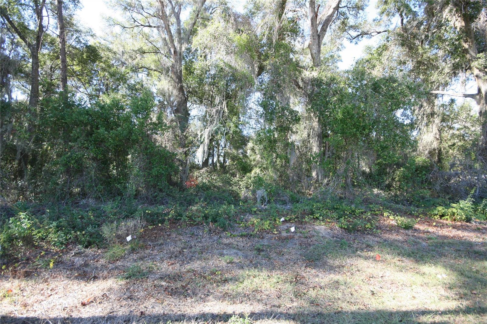 NE 36 AVE TBD, OCALA, FL, 34474