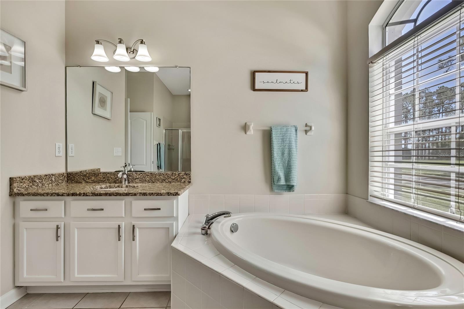 20751 RIVERFOREST DR, LAND O LAKES, FL, 34638
