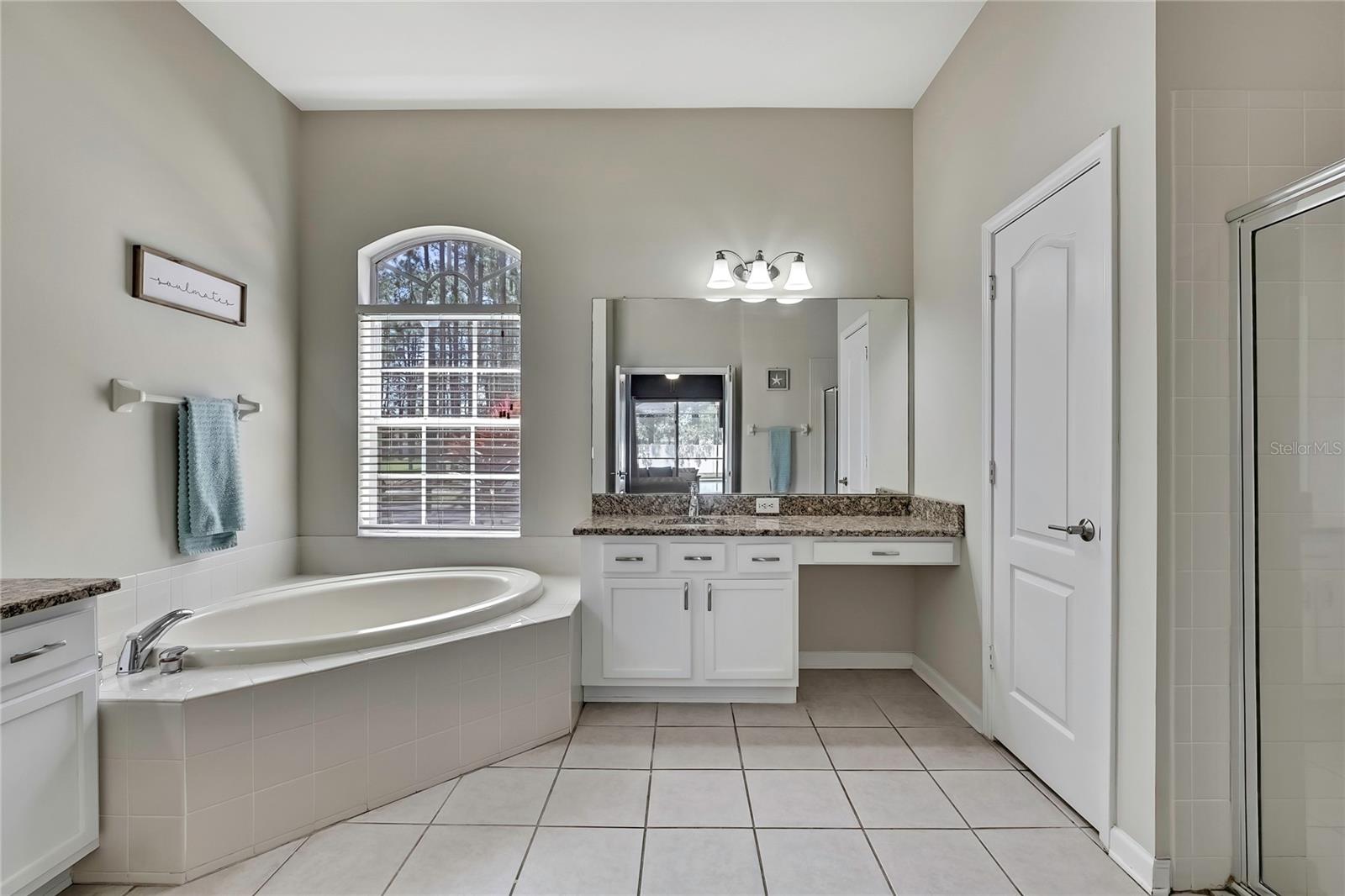 20751 RIVERFOREST DR, LAND O LAKES, FL, 34638