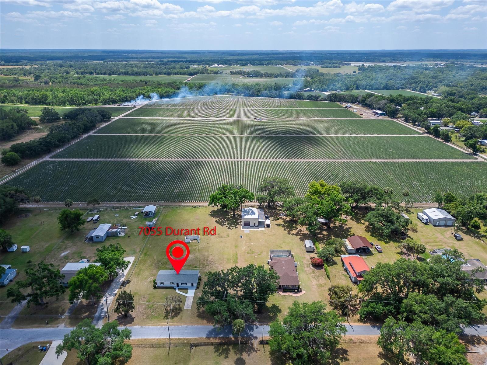 7055 DURANT RD, PLANT CITY, FL, 33567