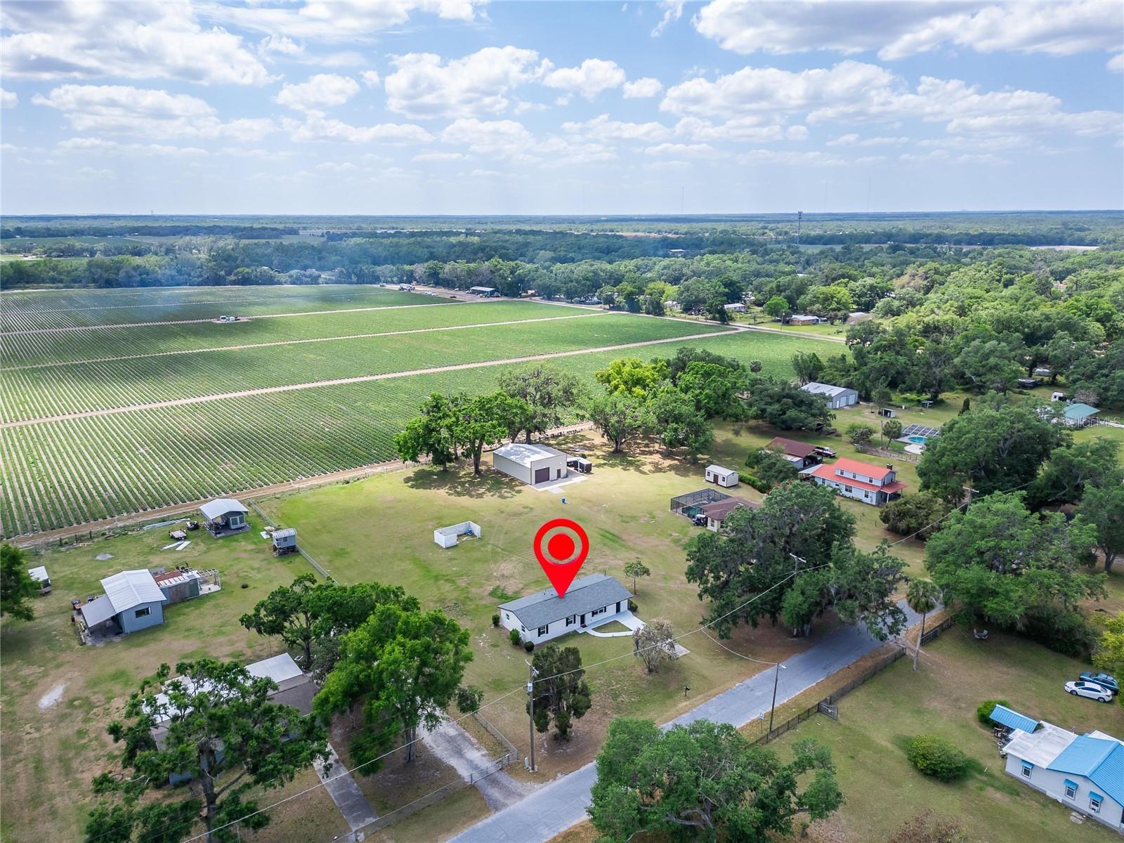 7055 DURANT RD, PLANT CITY, FL, 33567