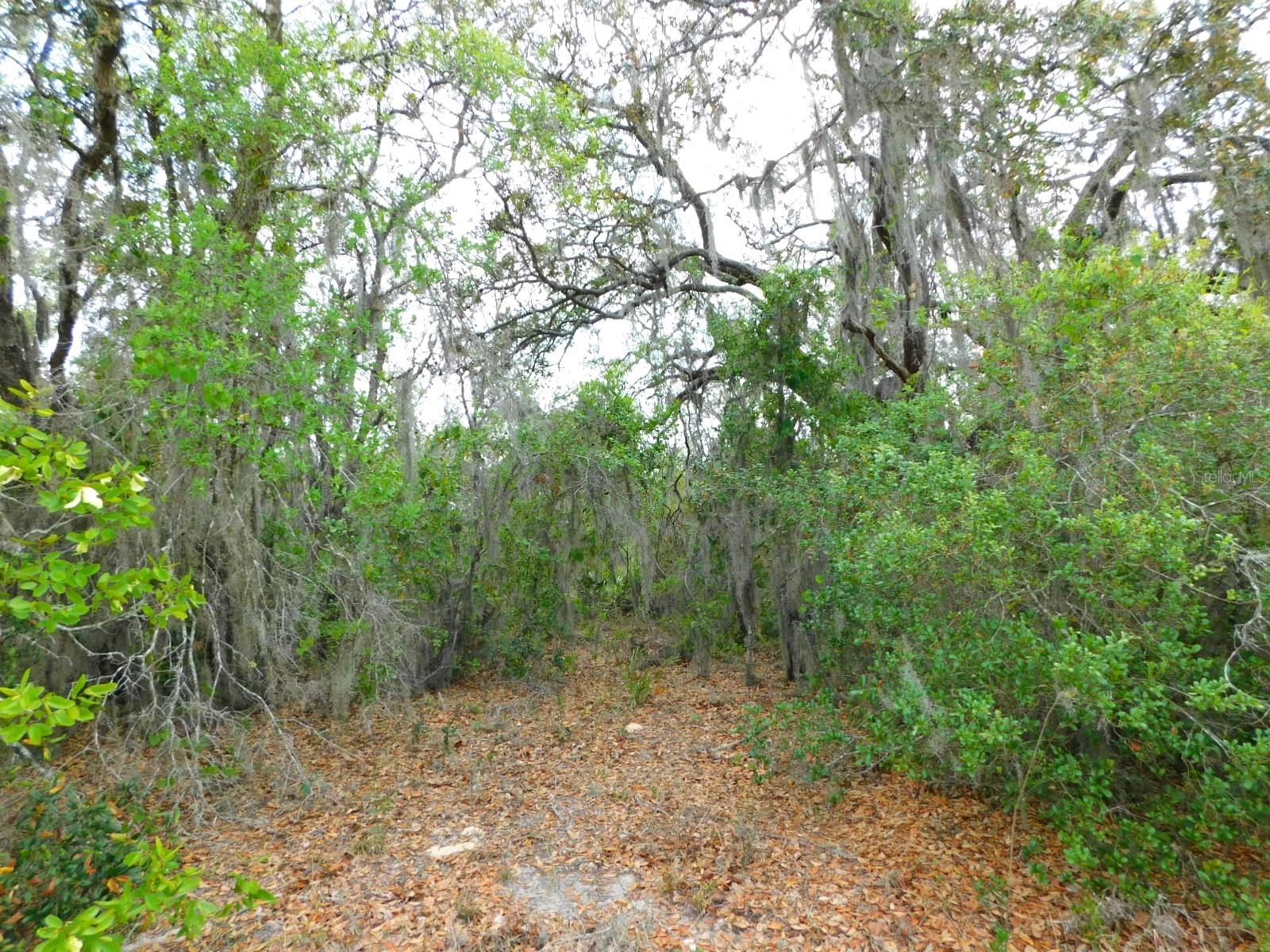 SHEPPARD DR, LAKE WALES, FL, 33898