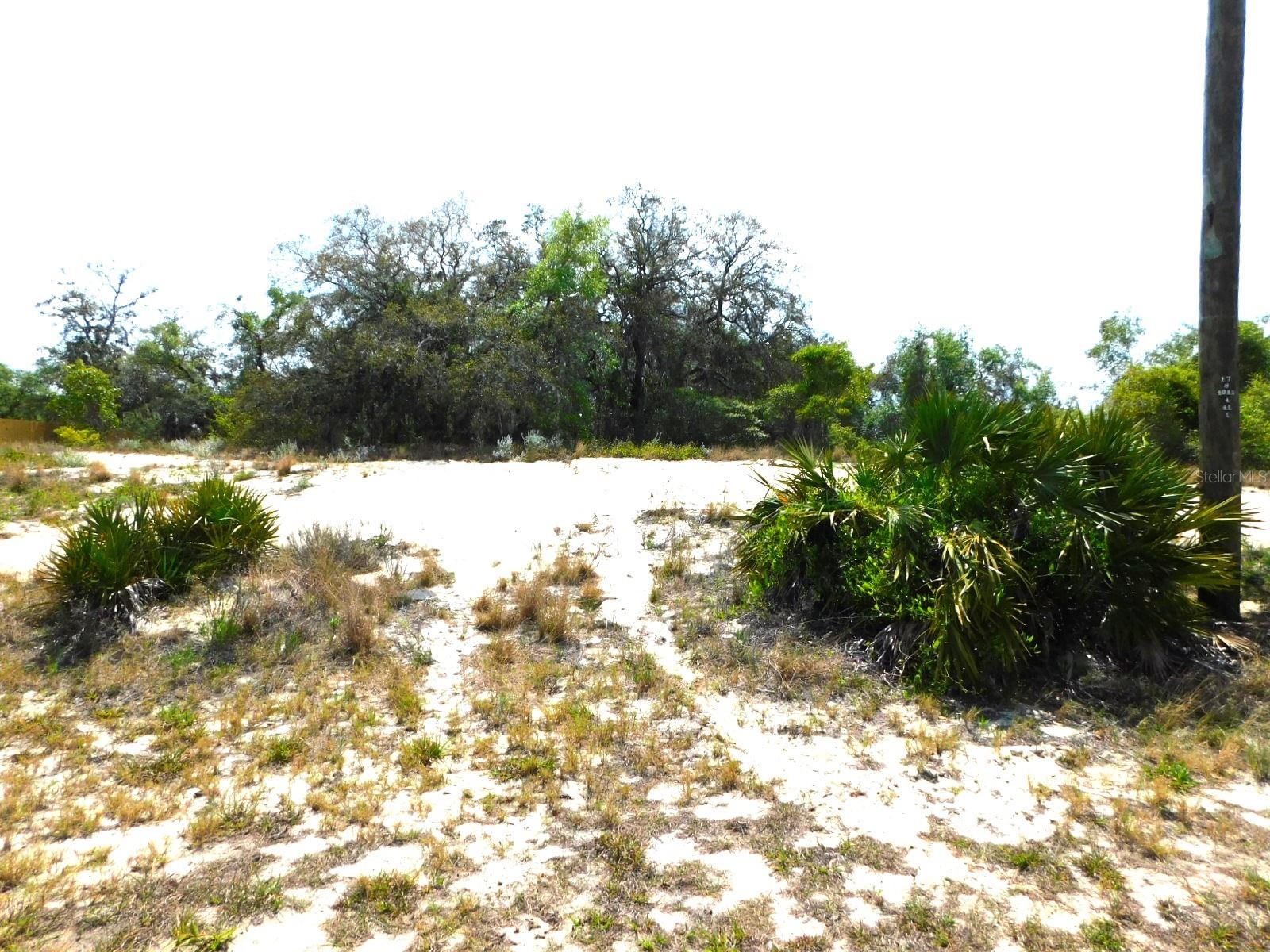 SHEPPARD DR, LAKE WALES, FL, 33898