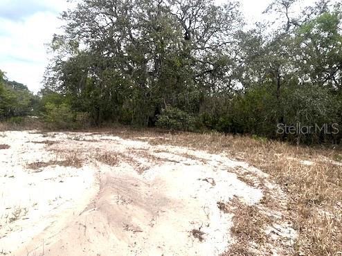 SHEPPARD DR, LAKE WALES, FL, 33898