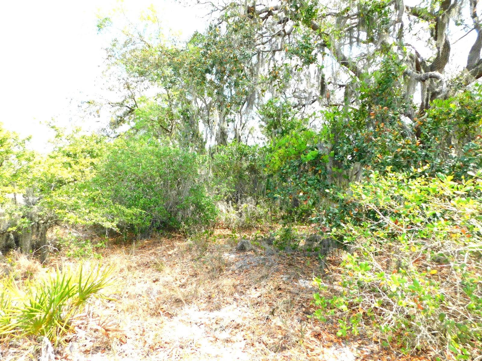SHEPPARD DR, LAKE WALES, FL, 33898