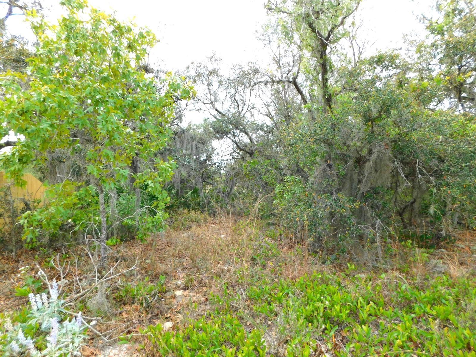 SHEPPARD DR, LAKE WALES, FL, 33898