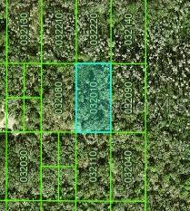 INACCESSIBLE TRACT, KATHLEEN, FL, 33849