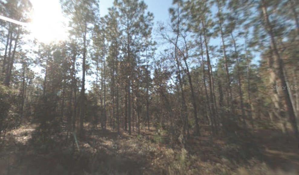 SW 159TH TER, OCALA, FL, 34481